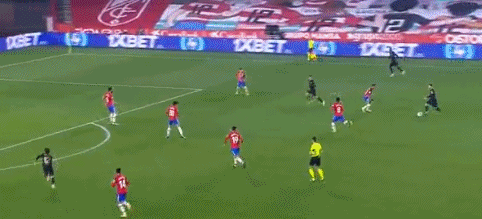 安达卢西亚西班牙马以战马天赋闻名欧洲数世纪